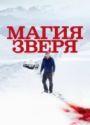 Магия зверя